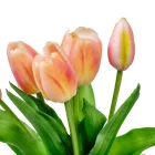 Tulipán köteg gumi 5v. narancs-pink M30cm 16db/#