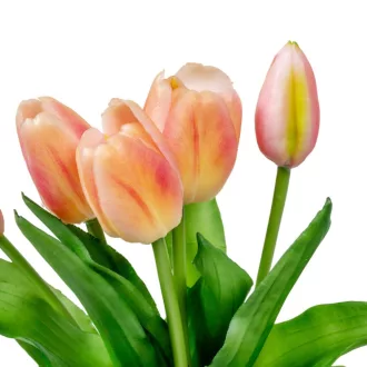 Tulipán köteg gumi 5v. narancs-pink M30cm 16db/#
