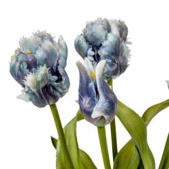 Papagáj tulipán köteg 5v. gumi kék M39cm 12db/#