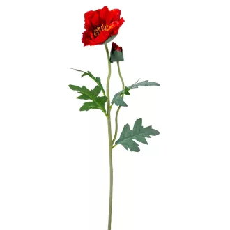 Pipacs 2v. piros M70cm 12db/#