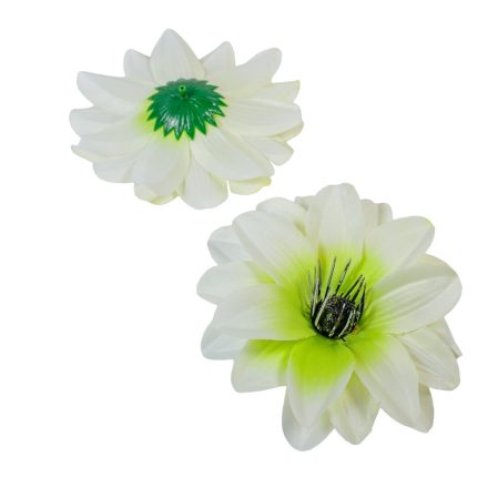 Dália virágfej fehér-zöld D11cm 12db/csom
