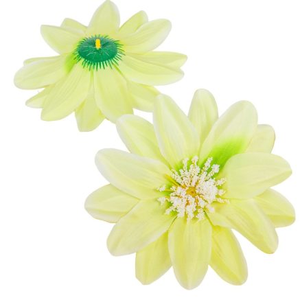 Dália virágfej D16cm 14 krém-zöld 12db/csom