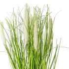 Cserepes pampafű M41cm 4db/#