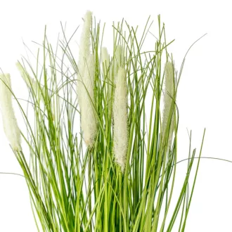 Cserepes pampafű M41cm 4db/#