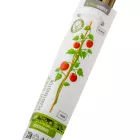 Növény karó bambusz 78cm 10db-os