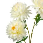 Gömb dália ág 3v. krém M75cm 60db/#
