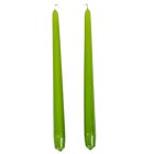 Lakkozott szálas gyertya 290x22mm oliva zöld 10db/csom (db ár)