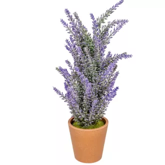 Levendula cserepes M36cm 6db/#