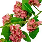 Hortenzia girland rózsaszín 150cm