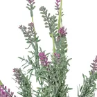 Levendula csokor 7ágú M38cm 24db/#