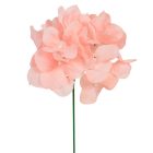 Hortenzia pick D12cm CIPRIA 12db/csom