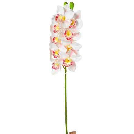 Orchidea szálas 9v. M86cm 6db/#