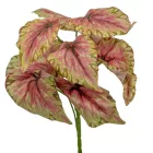 Leveles bokor 9ágú M30cm 36db/#                                  