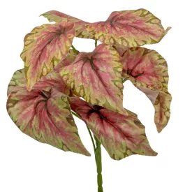   Leveles bokor 9ágú M30cm 36db/#                                  