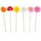 Gerbera szálas mix M50cm 36db/#