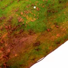 Dekor mohás futó 150x35cm