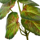 Leveles bokor M22cm 36db/#