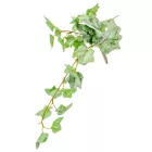 Borostyán futó 40cm 24db/#