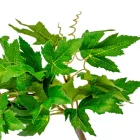 Szőlő leveles futó 40cm 24db/#