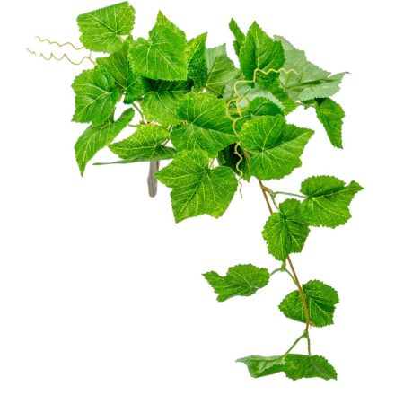 Szőlő leveles futó 40cm 24db/#