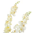 Orchidea ág 5ágú krém M110cm 6db/#