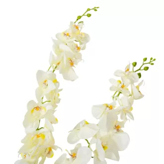 Orchidea ág 5ágú krém M110cm 6db/#