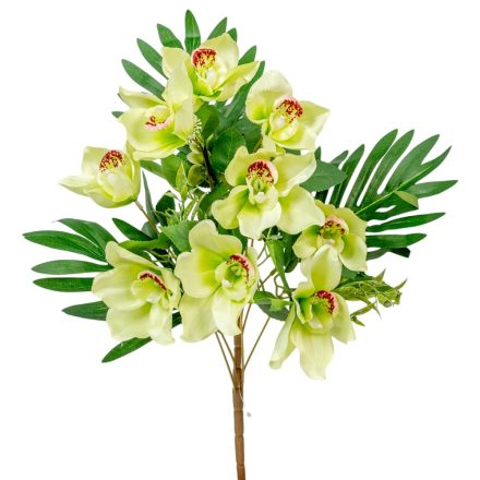 Orchidea csokor féloldalas 9v. zöld M50cm 12db/#