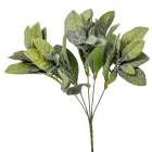 Zöld bokor M32cm 48db/#