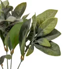 Zöld bokor M32cm 48db/#