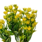 Mezei virág díszítő 5ágú sárga M35cm 72db/#