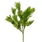 Vizipetrezselyem 5ágú M40cm 48db/#