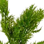 Vizipetrezselyem 5ágú M40cm 48db/#