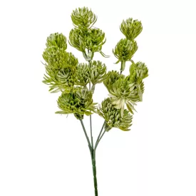 Komló bokor 5ágú M30cm 72db/#