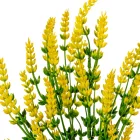 Hangafű díszítő 6ágú sárga M35cm 84db/#