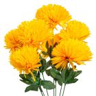 Krizantém csokor 7v. mix M60cm