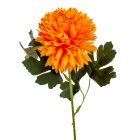 Krizantém szálas mix M51cm 72db/#