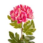 Krizantém szálas extra mix M75cm 24db/#