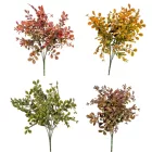 Eukaliptusz bokor 5ágú mix M37cm 48db/#