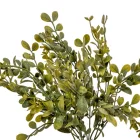 Eukaliptusz bokor 5ágú mix M37cm 48db/#