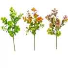 Eukaliptusz bokor 3ágú mix M44cm 96db/#