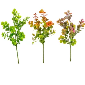 Eukaliptusz bokor 3ágú mix M44cm 96db/#