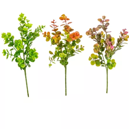 Eukaliptusz bokor 3ágú mix M44cm 96db/#