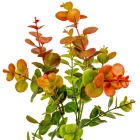 Eukaliptusz bokor 3ágú mix M44cm 96db/#