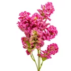 Díszítő szálas mix M47cm