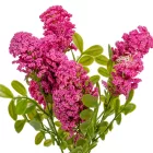 Mini bogyós csokor 5ágú mix M35cm