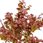 Bukszus csokor 5ágú mix M35cm 72db/#