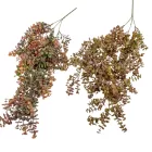 Eukaliptusz csüngő őszi 75cm 30db/#