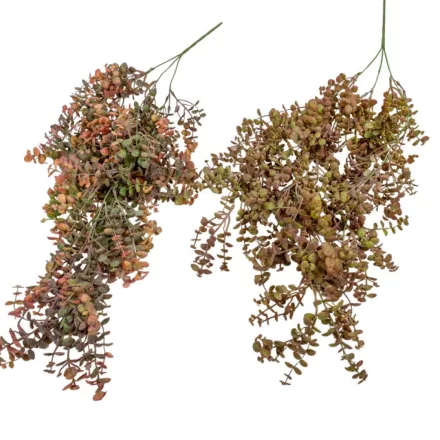 Eukaliptusz csüngő őszi 75cm 30db/#