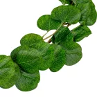 Eukaliptusz girland zöld M185cm