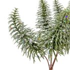 Fenyős pick glitteres 24cm